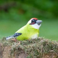 Pluche groene specht met geluid