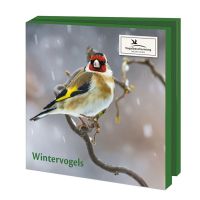 Wenskaartenset wintervogels