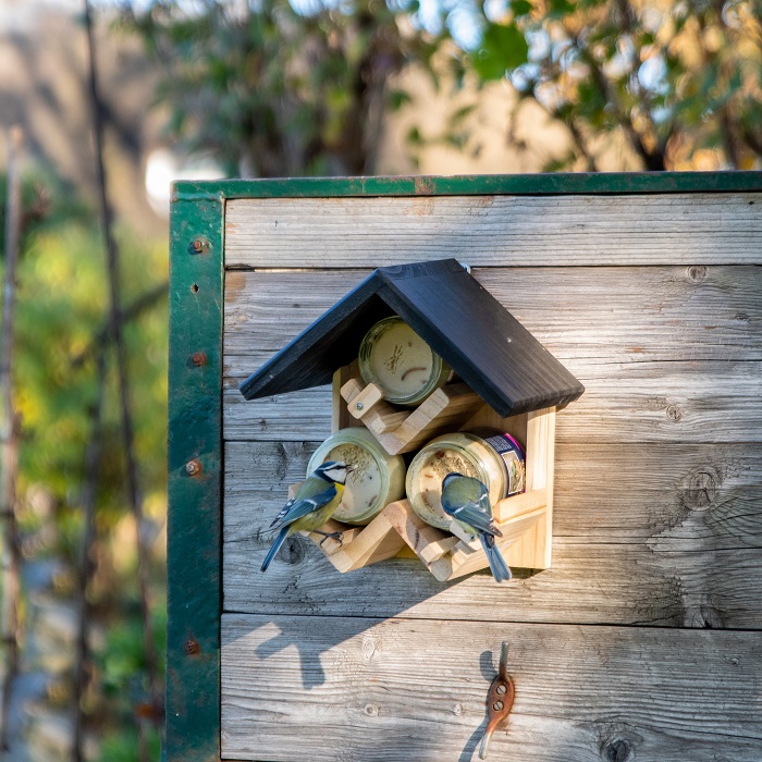 Pimpelmezen op vogelpindakaas - Vogelbeschermingshop