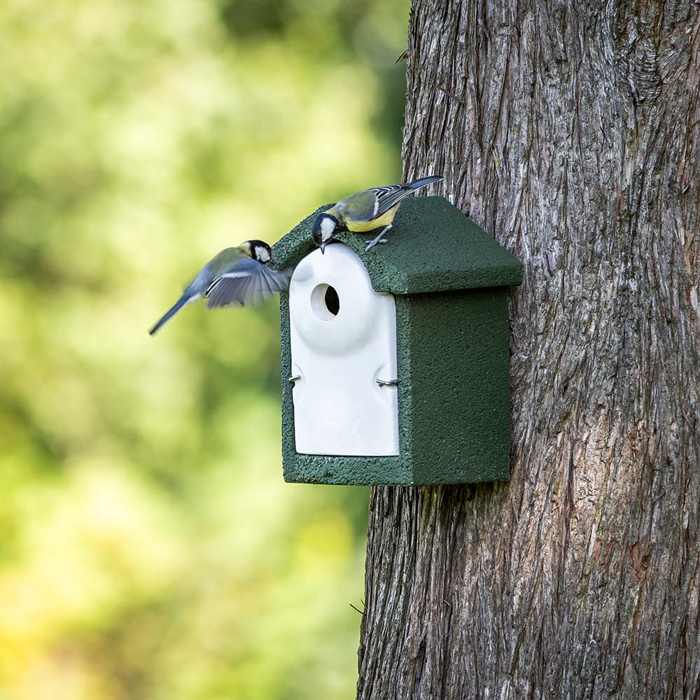 Koolmezen op houtbetonnen nestkast - Vogelbeschermingshop