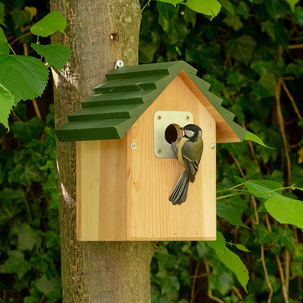 Koolmees op nestkast - Vogelbeschermingshop