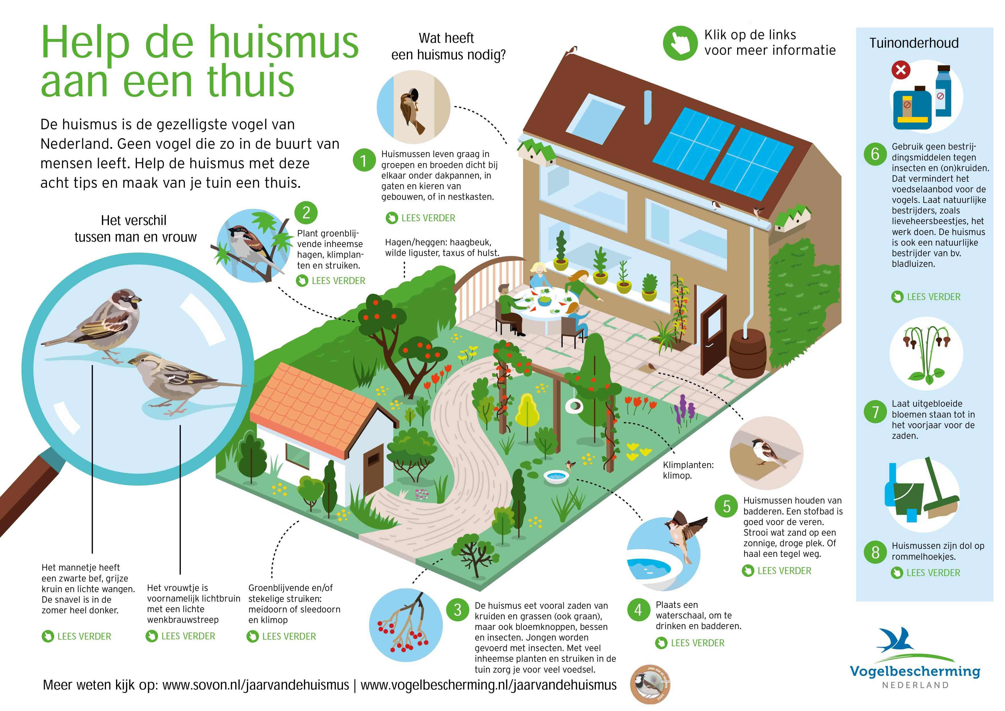 Infographic huismusvriendelijke tuin - Vogelbeschermingshop Jaar van de Huismus 2024