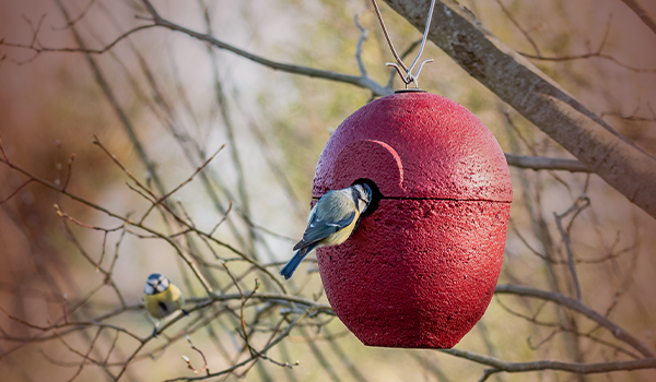 Week van de Nestkast - Vogelbeschermingshop