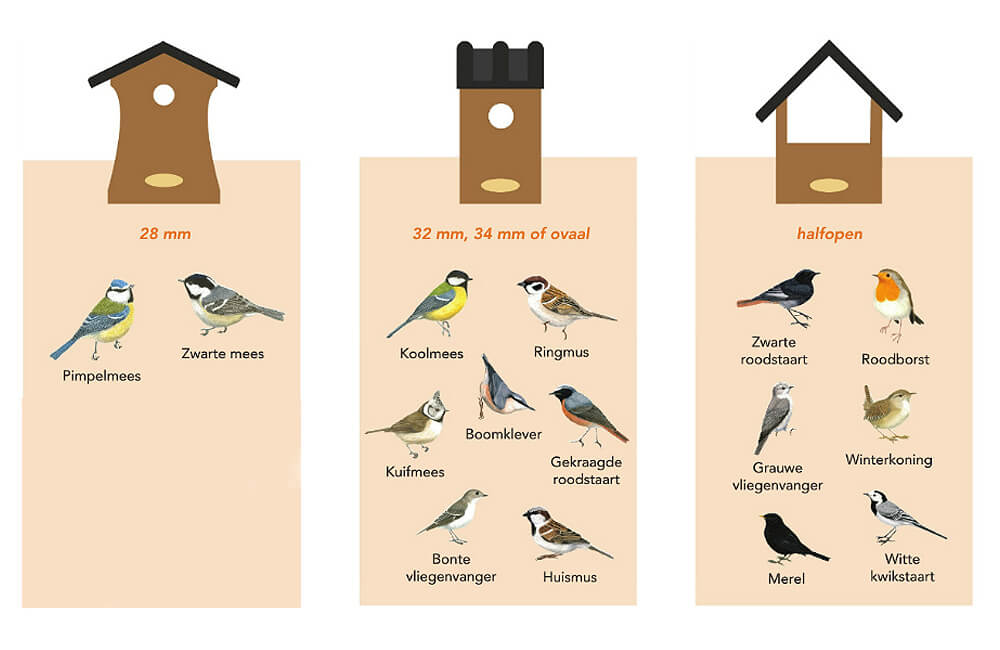 Welke nestkast voor welke vogel?