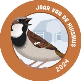 Het Jaar van de Huismus in 2024 - Vogelbeschermingshop